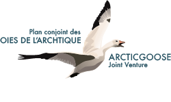 agjv logo